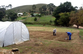 Feeding the Children
